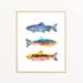 Brightly Colored Watercolor Trout Art Print. Father's Day Fisherman Gift. Lakehouse Wall Art. Watercolor Fish Painting. Fisherman Dad Gift. 