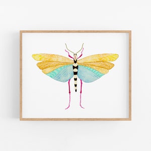 Fun Bug Art Print. Pretty Grasshopper Art. Colorful Bug Watercolor Art Print. Pretty Grasshopper Wall Art. Kids Decor. Nursery Art Design.