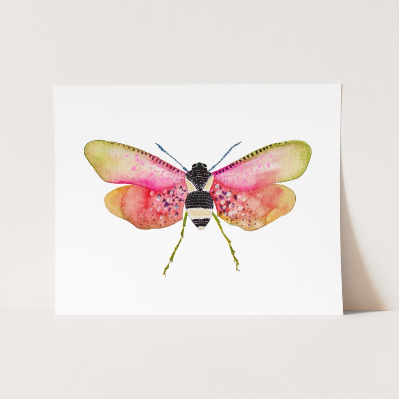 Insect Art - Etsy