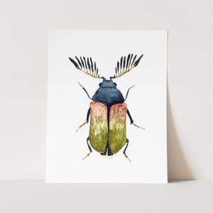 Colorful Beetle Art Print. Kids Room Decor.  Nursery Wall Art. Colorful Bug Painting. Beetle Art Print. Watercolor Beetle. Boy&#39;s Bedroom Art