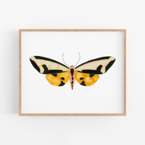 Bright Bug Art Print. Yellow & Black Moth. Colorful Insect Art. Office Decor. Nature Art. Peaceful Nature Decor. Beautiful Bug Painting.