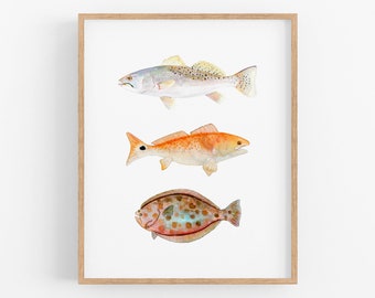 Watercolor Fish Art Print. Texas Grand Slam Red Fish, Speckled Trout, Flounder. Fisherman / Angler/ Dad Gift. Trout Painting. Flounder Art.