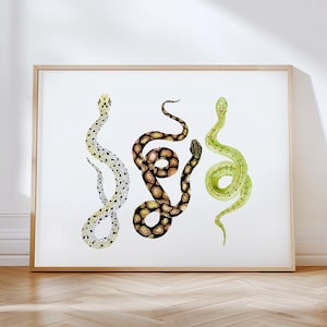 Colorful Watercolor Snakes Art Print. Snake Boho Wall Artwork. Green Brown Tribal Serpent Wall Art. Nature Home Decor. Snake Lovers Painting