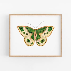 Bug Art. Pretty Green Moth Print. Children's Room Art. Modern Wall Art. Bug Art. Fun Bug Decor. Insect Art. Moth Painting. Pretty Bug Print.