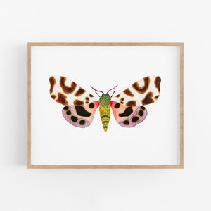 Colorful Moth Art Print. Tiger Moth Art Print. Pretty Moth Art. Watercolor Moth Painting. Nature Decor. Pretty Tiger Moth Artwork. Bug Art.