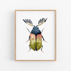 Colorful Beetle Art Print. Kids Room Decor.  Nursery Wall Art. Colorful Bug Painting. Beetle Art Print. Watercolor Beetle. Boy's Bedroom Art