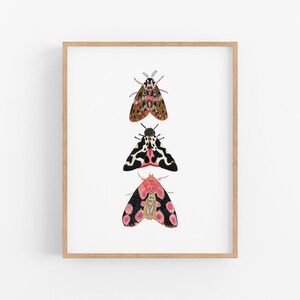 Watercolor Art Print. Pink Moth Illustration. Pretty Bug Art Print. Nature Art. Modern Kids Room Decor. Baby Shower Gift. Woodland Art.