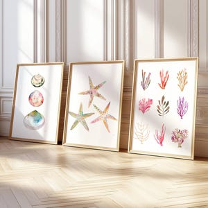 May include: Three framed watercolour prints featuring a variety of sea life. The first print shows three different seashells in shades of pink, blue, and white. The second print features three starfish in shades of pink, yellow, and blue. The third print shows a collection of seaweed in shades of pink, red, and green.