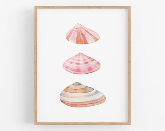 Pink Coquinas Sea Shells of the Gulf Coast of Florida. Watercolor Shell Art Print. Coquinas. Coastal Decor. Shells of Sanibel Island. Shells