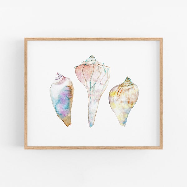 Watercolor Shell Art Print. Conch Sea Shells Artwork. Serene Coastal Art. Beach House Decor. Ocean Life Painting. Soft Pastel Seashore Art.