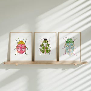 Green Pink Blue Watercolor Beetle Art Print Set of 3, Colorful Beetles, Boys Room Decor, Montessori Bug Nursery Illustration Insect Painting image 6