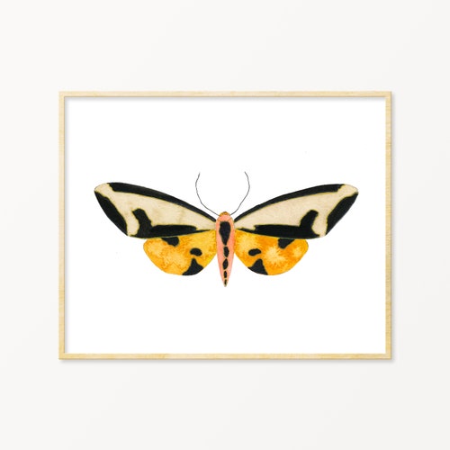Black and Pink Watercolor Moth Art Print. Colorful Insect Wall - Etsy