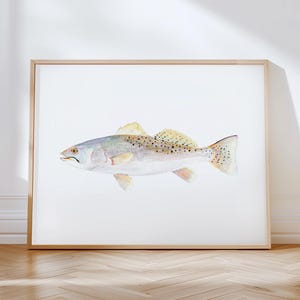 Realistische aquarelprint van een gevlekte forel. Een perfect Vaderdagcadeau: een forelschilderij. Originele visprints. Decoratie voor in huis met een thema van een zeeforelvisser.