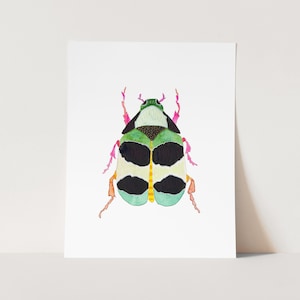 Colorful Beetle Art Print. Blue Green Black Bug Art. Nature Decor. Boy&#39;s Room Art. Boy&#39;s Nursery Decor. Play Room Wall Art. Large Art Prints