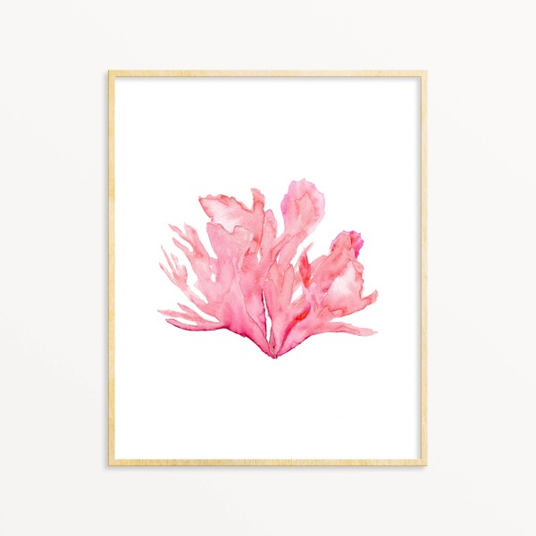 Coral Watercolor Etsy
