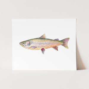 Bull Trout Watercolor Art Print. Trout Wall Art. Fish Art. Nature Painting. Angler Dad Gift. Trout Illustration. Realistic Trout Artwork.