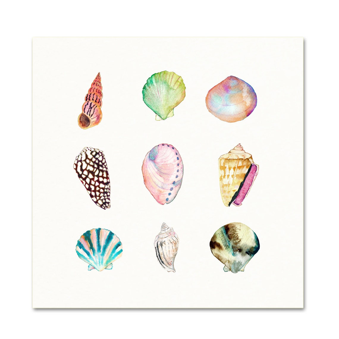 Sea Shell Collection Art Print. Watercolor Sea Shells Art. | Etsy