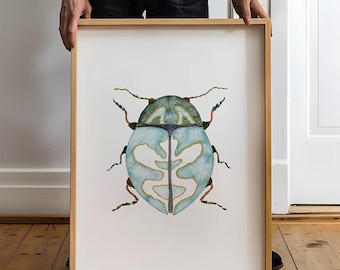 Preciosa acuarela de un pequeño escarabajo azul claro. Preciosa lámina de insectos. Decoración natural. Pintura caprichosa de insectos. Láminas artísticas de escarabajos vibrantes.