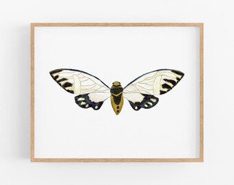 White Cicada Art Print. Modern Boho Nature Decor. Pretty Bug Art. Dorm Decor. Large Art Prints. Black and White Decor. Nursery Art.