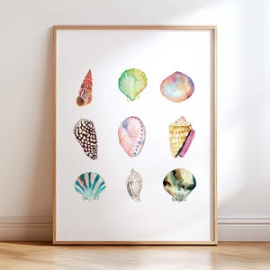 Puede incluir: Una pintura de acuarela de nueve conchas marinas en varias formas y colores, incluyendo rosa, verde, azul y marrón. Las conchas están dispuestas en un patrón de cuadrícula sobre un fondo blanco.