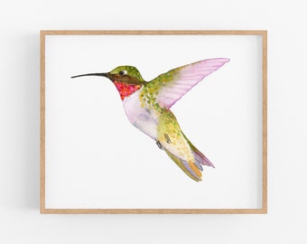 Ruby-Throated Hummingbird | Hummingbird Art Print. Hummingbirds of North America. Birds of New England. Hummingbird Painting Nature Wall Art