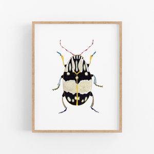 Watercolor Bug Art Print. Boys Room Decor. Colorful Bug Art Print. Nursery Art. Colorful Insect Art. Beetle Watercolor Art Print. Nature Art