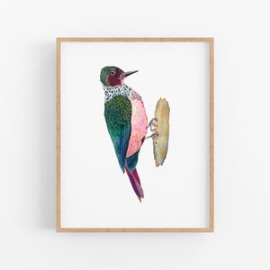 Lewis's Woodpecker Art Print. Beautiful Woodpecker Painting. Bird Art. Green Woodpecker Art Print. Nature Decor. Birds of the West. Bird Art