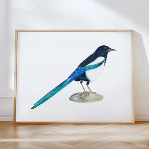 Vibrant Watercolor Magpie Wall Art. Blue White Black Bird Art Print. Gift for Bird Lovers. Nature Painting Room Decor. Black-Billed Magpie.