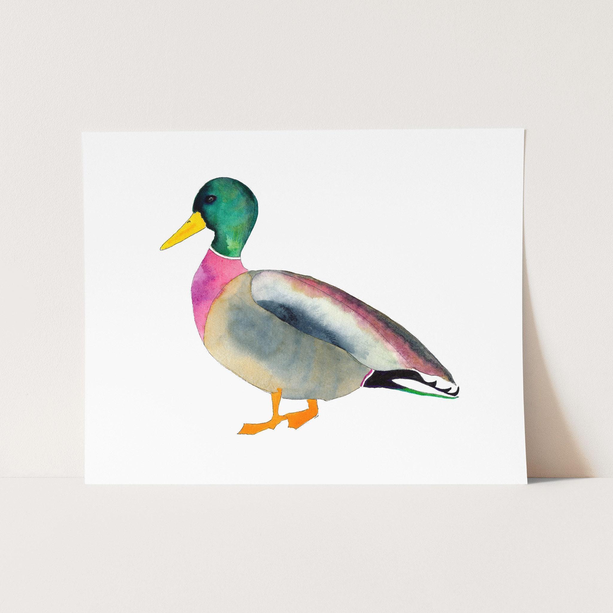 Watercolor Mallard Duck Art Print, Colorful Vibrant Cottagecore Nature Decor, Mallard Wall Art