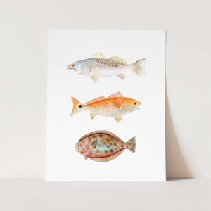 Watercolor Fish Art Print. Texas Grand Slam Red Fish, Speckled Trout, Flounder. Fisherman / Angler/ Dad Gift. Trout Painting. Flounder Art.