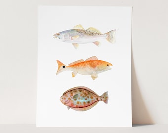 Watercolor Fish Art Print. Texas Grand Slam Red Fish, Speckled Trout, Flounder. Fisherman / Angler/ Dad Gift. Trout Painting. Flounder Art.