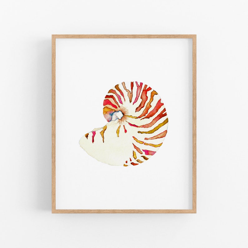 Nautilus Shell Art Print. Watercolor Sea Shell Painting. Serene Coastal Decor. Beach House Art Print. Ocean Art. Sea Life Decor. Sea Shells. image 1
