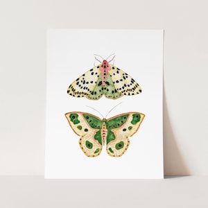 Green Moths Art Print. Fun Bug Art. Nursery Art. Moth Painting. Green Moth Wall Art. Nature Decor. Garden Art. Dorm Art Prints. Large Prints