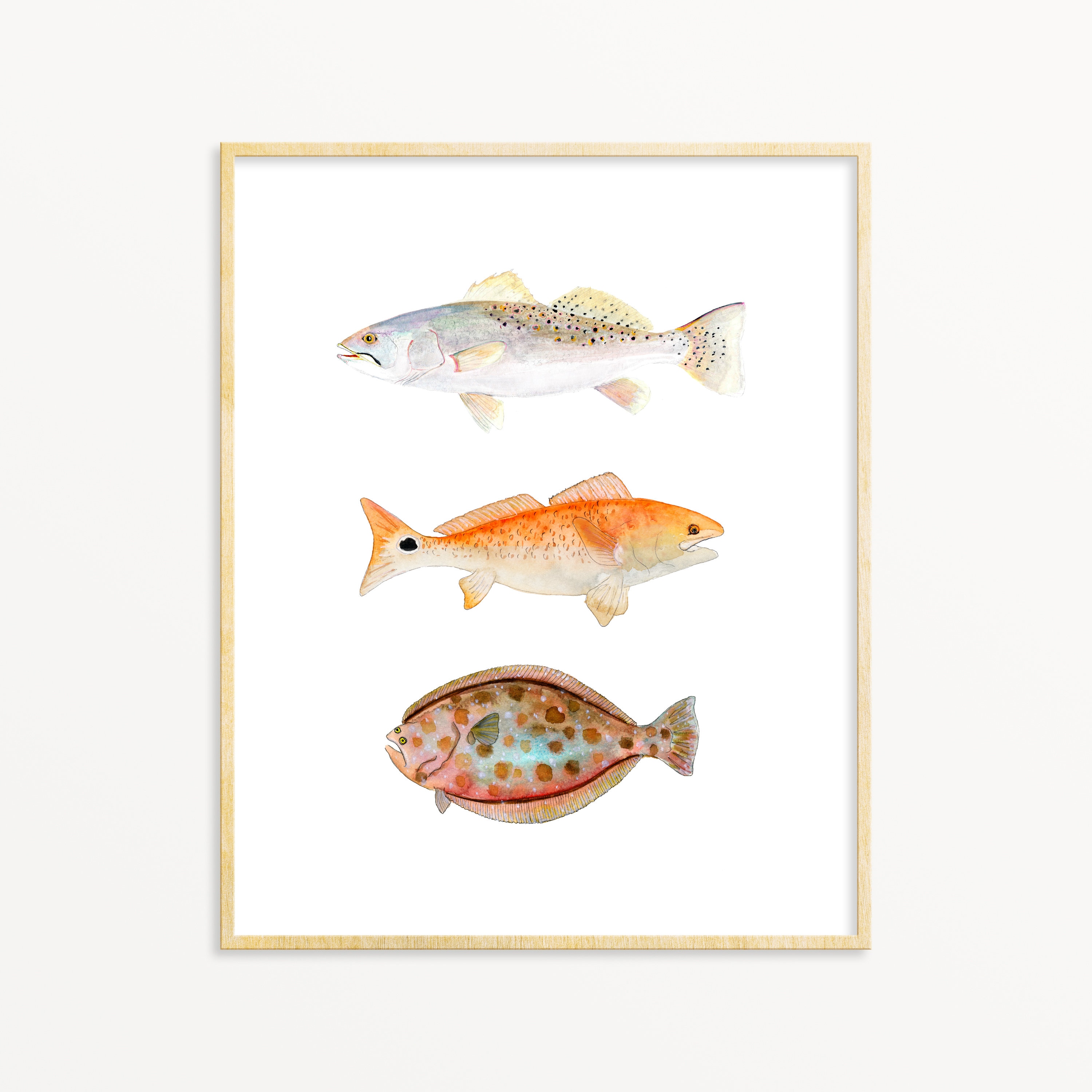 Watercolor Fish Art Print. Texas Grand Slam Red Fish, Speckled