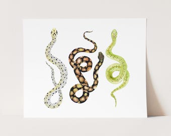 Watercolor Snakes Art Print. Green Snake Painting. Nature Wall Art. Garden Art. Serpent Art Print. Tribal Snake Watercolor Art. Kids Decor.