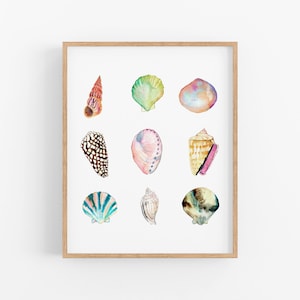 Sea Shell Collection Art Print. Watercolor Sea Shells Art. Beach Art. Shell Painting. Coastal Gallery Wall Art. Pastel Colored Sea Shell Art