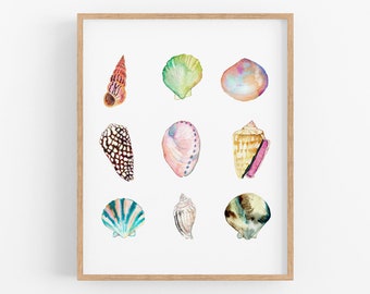 Sea Shell Collection Art Print. Watercolor Sea Shells Art. Beach Art. Shell Painting. Coastal Gallery Wall Art. Pastel Colored Sea Shell Art