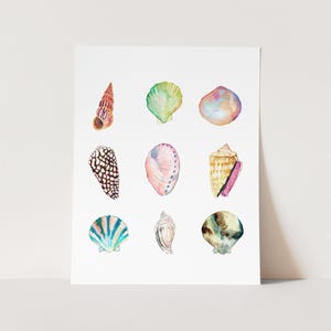 Sea Shell Collection Art Print. Watercolor Sea Shells Art. Beach Art. Shell Painting. Coastal Gallery Wall Art. Pastel Colored Sea Shell Art