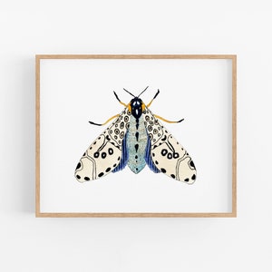 Pale Blue Moth Art Print. Nature Gallery Wall Art. Kids Room Decor. Moth Art. Moth Painting. Blue / White /Beige Moth Artwork. Bug Art Print