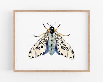 Pale Blue Moth Art Print. Nature Gallery Wall Art. Kids Room Decor. Moth Art. Moth Painting. Blue / White /Beige Moth Artwork. Bug Art Print