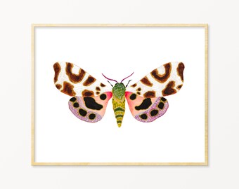 Colorful Moth Art Print. Tiger Moth Art Print. Pretty Moth Art. Watercolor Moth Painting. Nature Decor. Pretty Tiger Moth Artwork. Bug Art.
