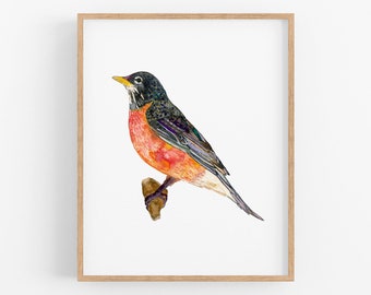 Watercolor Robin Art Print. Bird Lover Gift. Connecticut, Michigan, Wisconsin State Bird. American Robin Painting. Bird Lover Art Print.