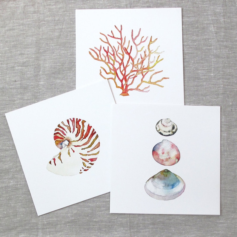 Nautilus Shell Art Print. Watercolor Sea Shell Painting. Serene Coastal Decor. Beach House Art Print. Ocean Art. Sea Life Decor. Sea Shells. image 3