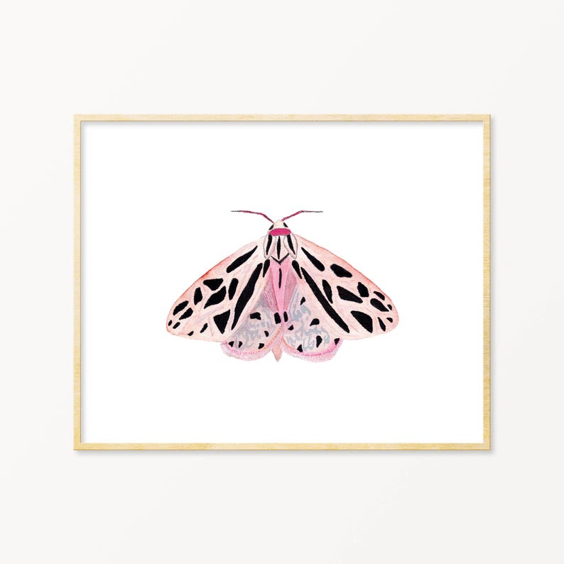 Pastel Watercolor Moth. Pink Winged Moth Art. Unique Nursery Etsy