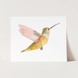Rofous Hummingbird Art Print | Hummingbird Wall Decor | Hummingbirds of North America | Birds of the Northern Pacific | Hummingbird Painting