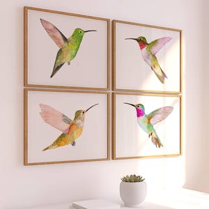 May include: Four framed watercolour paintings of hummingbirds. Each painting features a different hummingbird with vibrant colours and intricate details. The hummingbirds are depicted in flight, showcasing their delicate wings and long beaks.