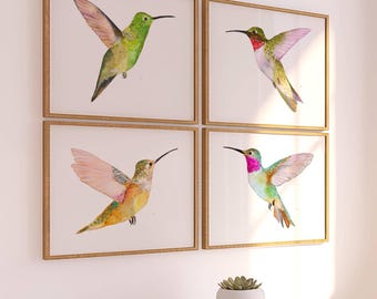 Set of 4 Vibrant Hummingbird Watercolor Art Prints.  Small Bird Painting Wall Decor. Ruby-Throated, Rufous, Berylline, Broad-Tailed Print.