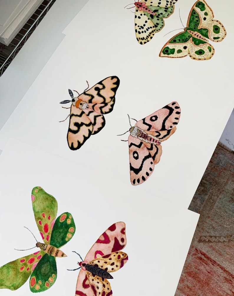 Pink and Green Moth Art Print. Pretty Bug Art. Nursery Decor. Watercolor Moths. Nature Art. Kids Wall Art. Playroom Decor. Pink / Green Art. image 3