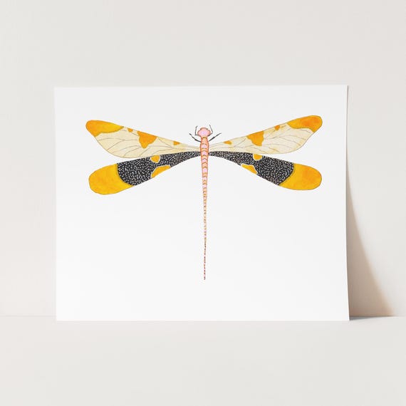 Watercolor Dragonfly Art Print.  Blue Dragonfly Artwork. Colorful Insect Art. Gallery Wall Prints. Nature Painting. Pretty Insect Artwork.