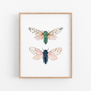 Nature Inspired Art Print. Watercolor Cicadas. Winged Creature Modern Decor. Simple Bedroom Art. Garden Art Print.